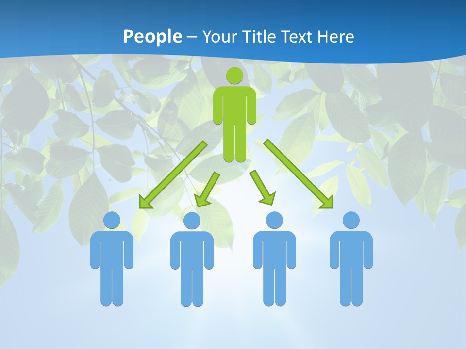 Sunny Nature Forest PowerPoint Template