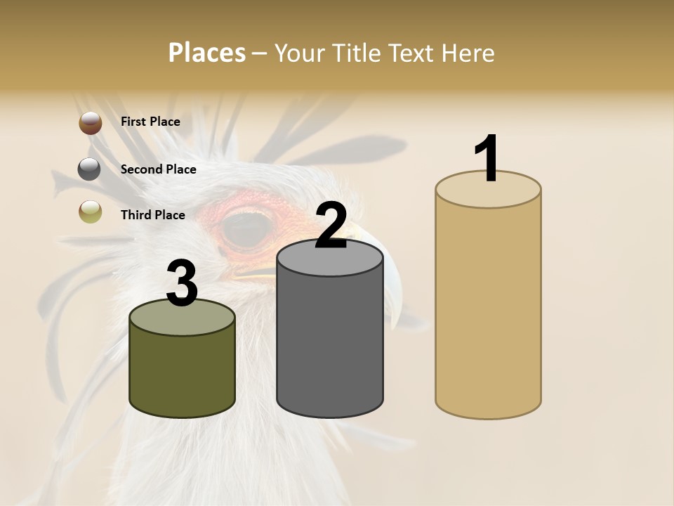 Sagittarius Eyes Outdoors PowerPoint Template