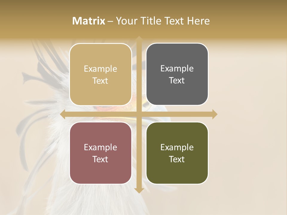 Sagittarius Eyes Outdoors PowerPoint Template