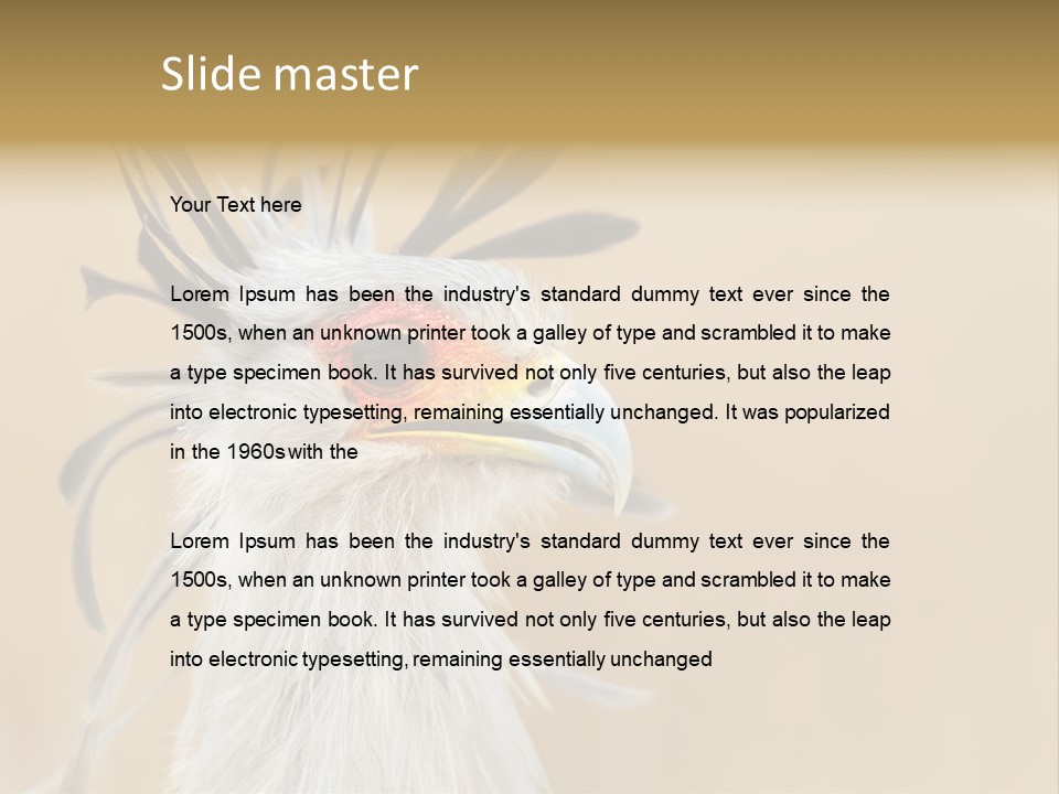 Sagittarius Eyes Outdoors PowerPoint Template