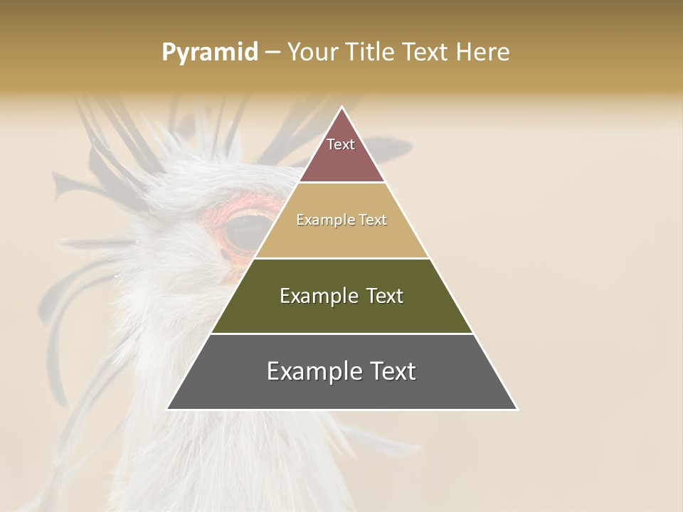 Sagittarius Eyes Outdoors PowerPoint Template