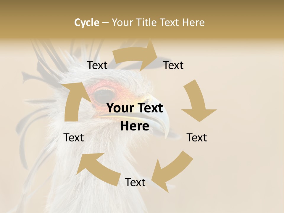 Sagittarius Eyes Outdoors PowerPoint Template