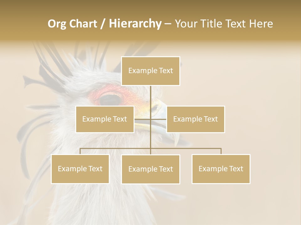 Sagittarius Eyes Outdoors PowerPoint Template
