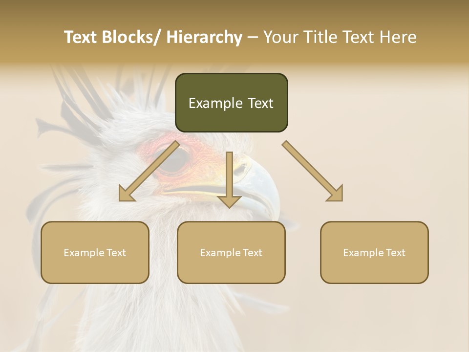 Sagittarius Eyes Outdoors PowerPoint Template
