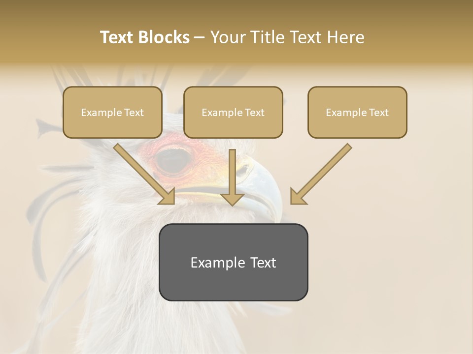 Sagittarius Eyes Outdoors PowerPoint Template