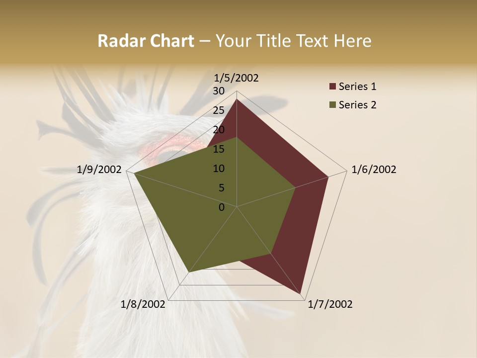 Sagittarius Eyes Outdoors PowerPoint Template