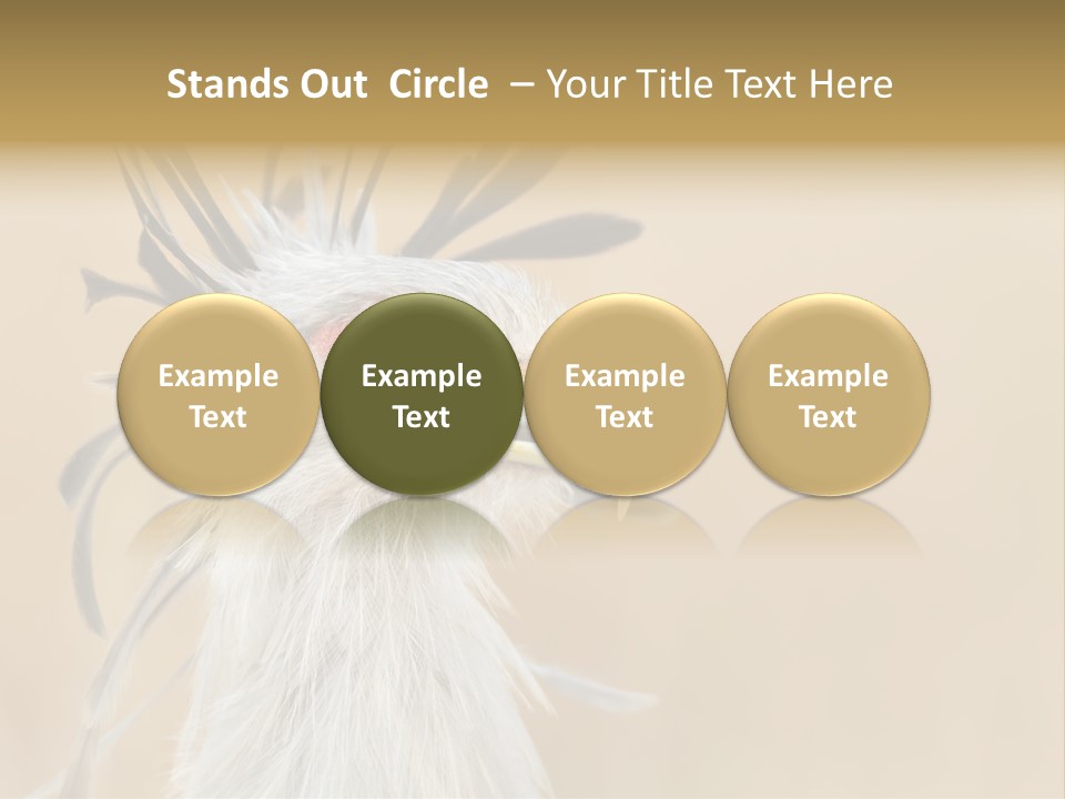 Sagittarius Eyes Outdoors PowerPoint Template