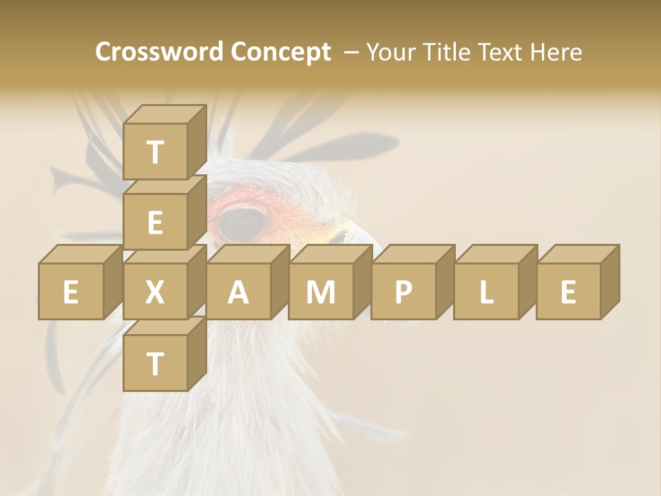 Sagittarius Eyes Outdoors PowerPoint Template