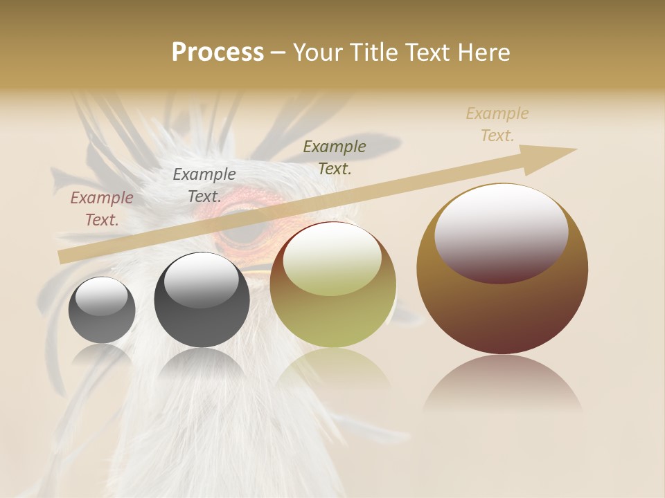 Sagittarius Eyes Outdoors PowerPoint Template