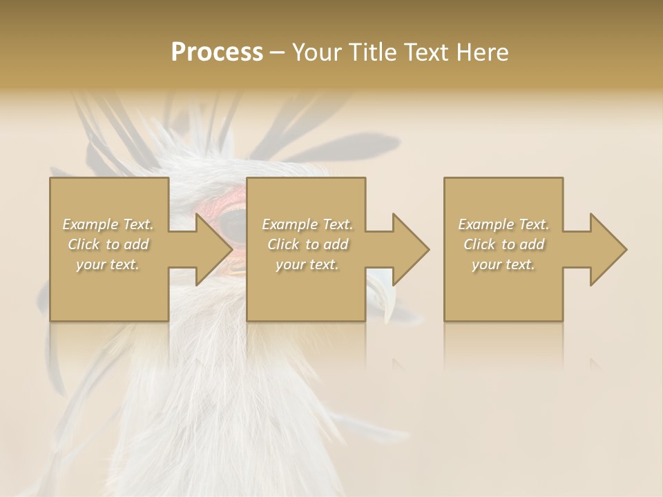Sagittarius Eyes Outdoors PowerPoint Template