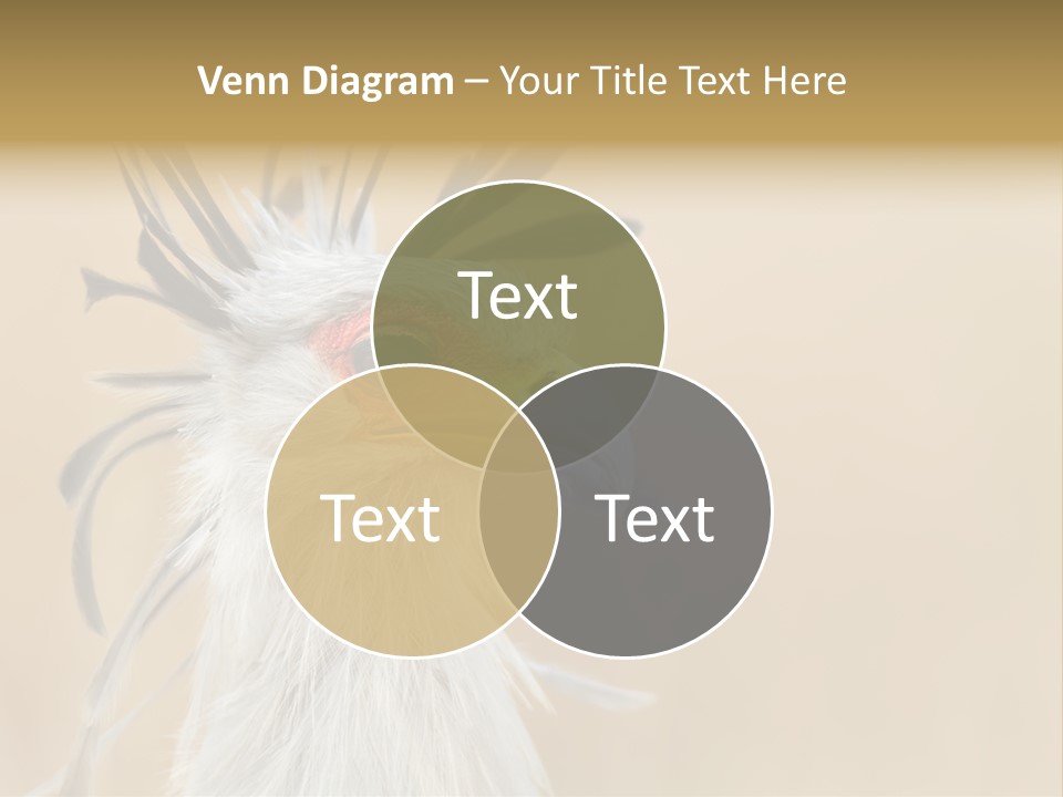 Sagittarius Eyes Outdoors PowerPoint Template