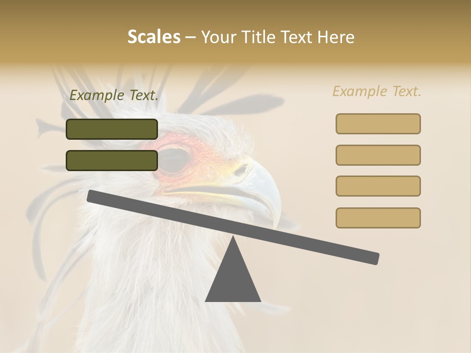 Sagittarius Eyes Outdoors PowerPoint Template