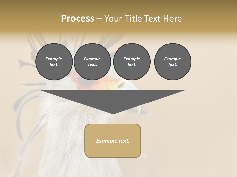 Sagittarius Eyes Outdoors PowerPoint Template