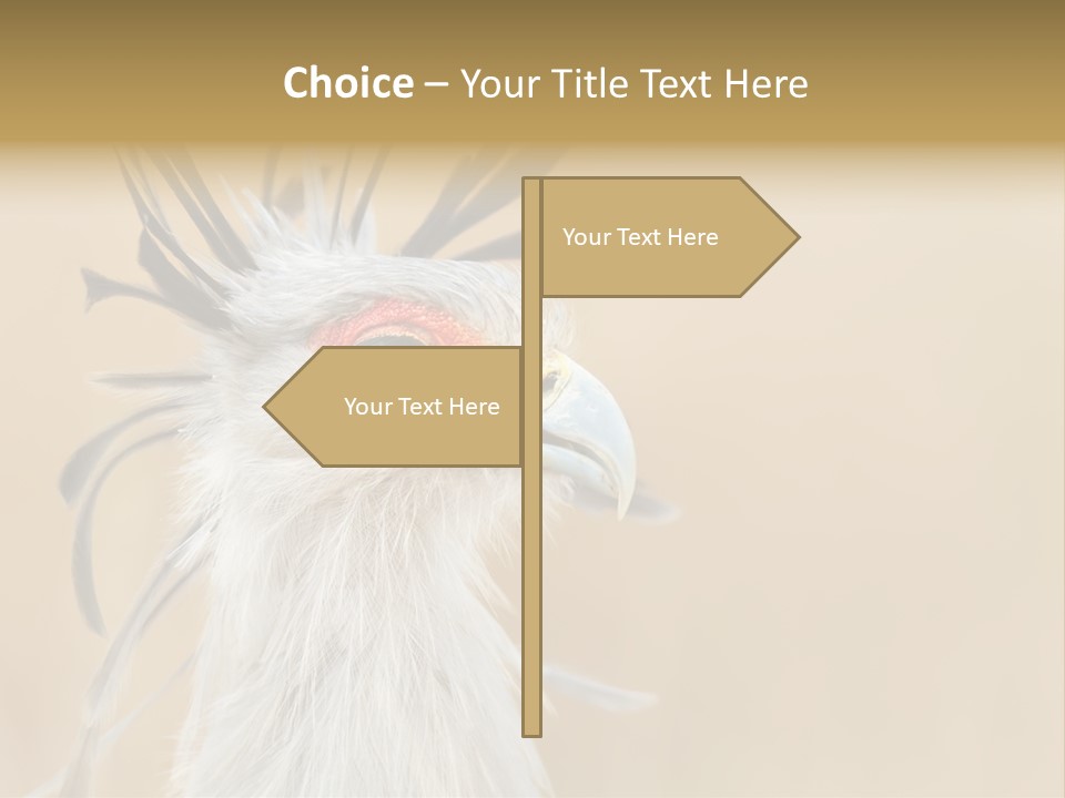 Sagittarius Eyes Outdoors PowerPoint Template