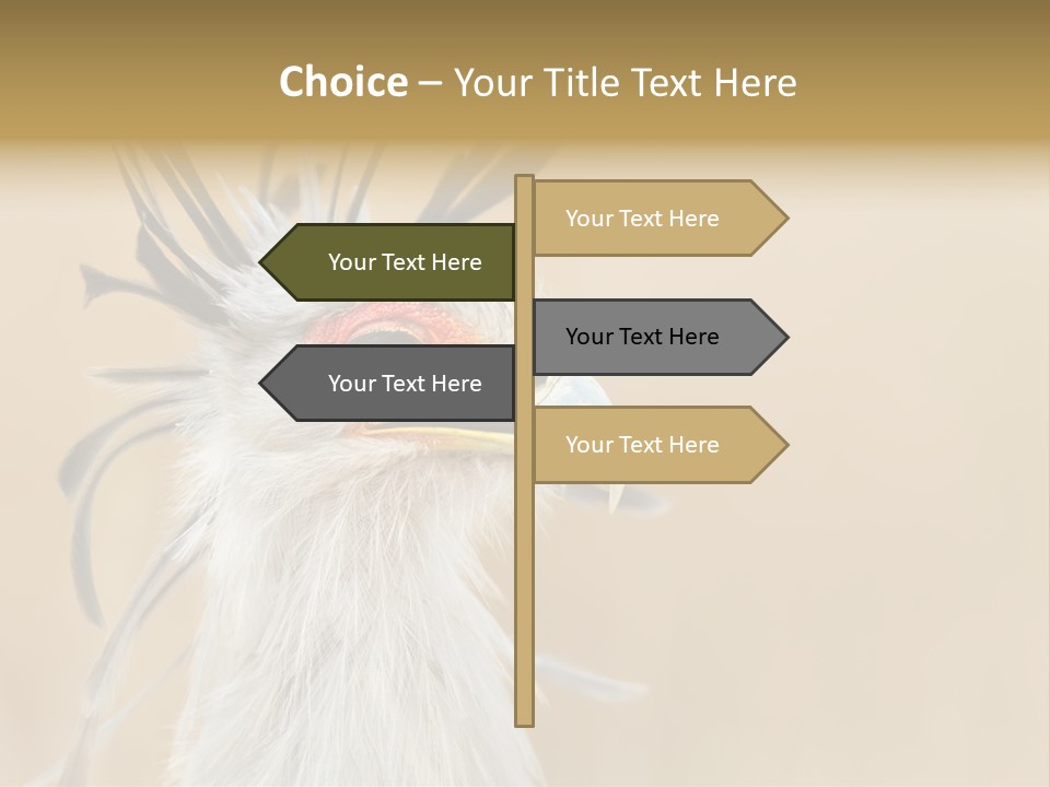 Sagittarius Eyes Outdoors PowerPoint Template
