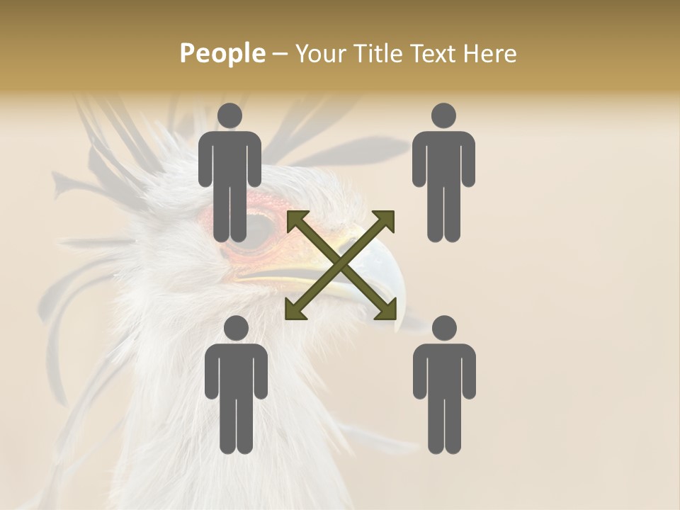 Sagittarius Eyes Outdoors PowerPoint Template