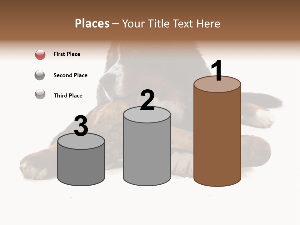 Space Purebred Mammal PowerPoint Template