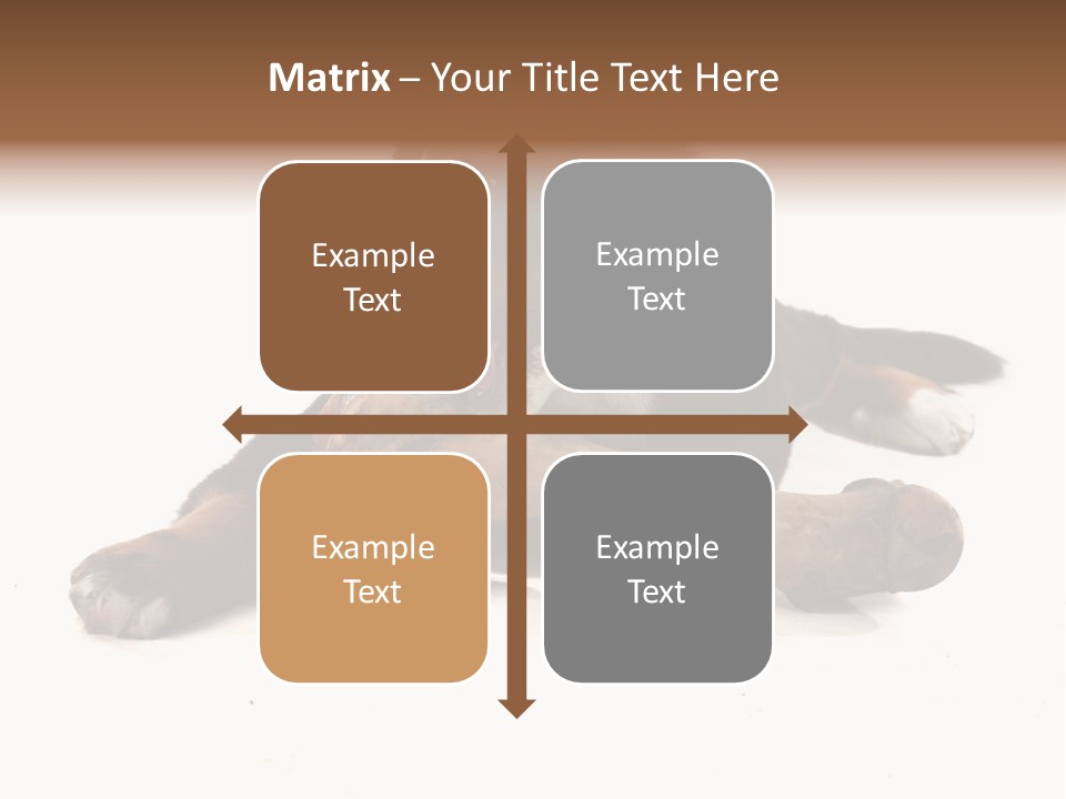 Space Purebred Mammal PowerPoint Template