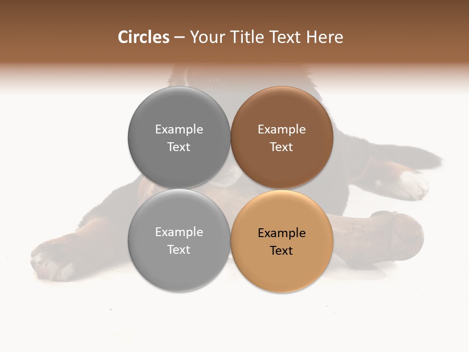 Space Purebred Mammal PowerPoint Template