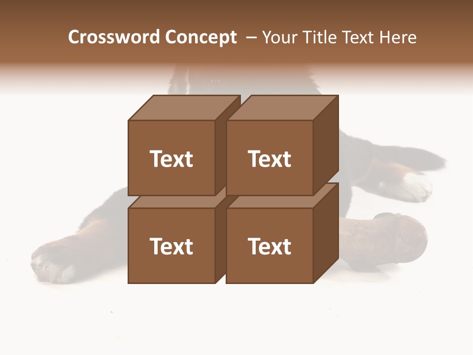 Space Purebred Mammal PowerPoint Template