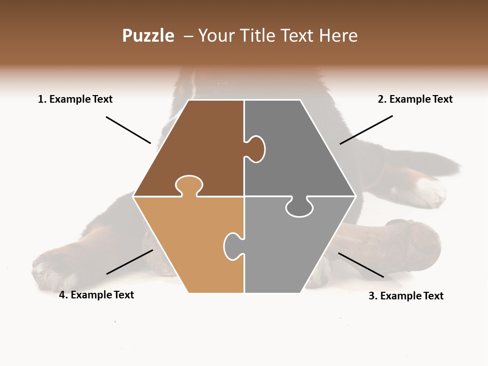 Space Purebred Mammal PowerPoint Template
