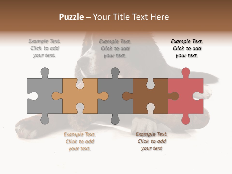 Space Purebred Mammal PowerPoint Template