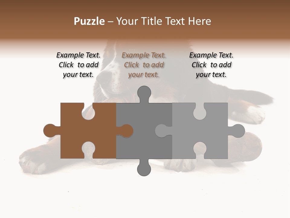 Space Purebred Mammal PowerPoint Template