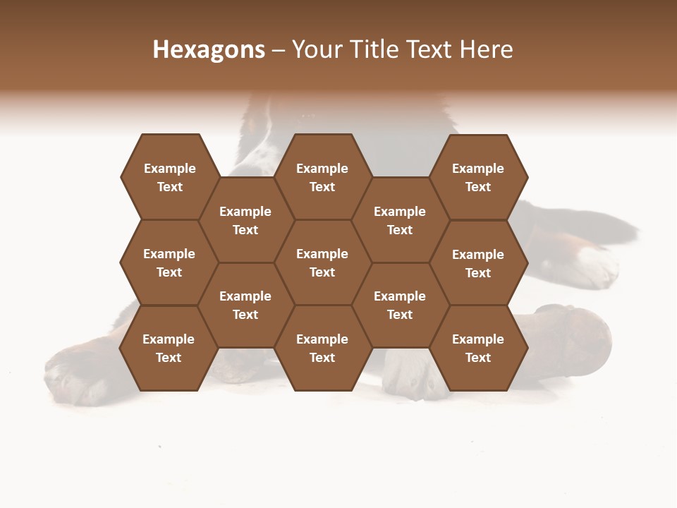 Space Purebred Mammal PowerPoint Template