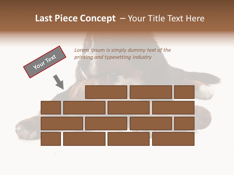 Space Purebred Mammal PowerPoint Template