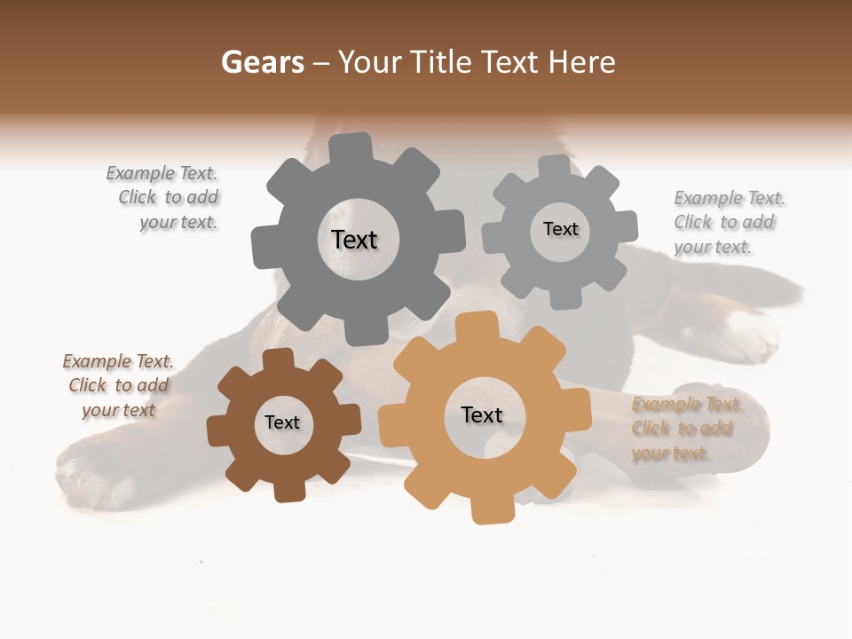 Space Purebred Mammal PowerPoint Template