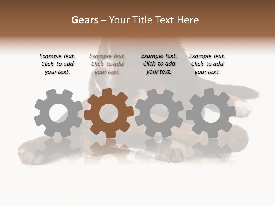 Space Purebred Mammal PowerPoint Template