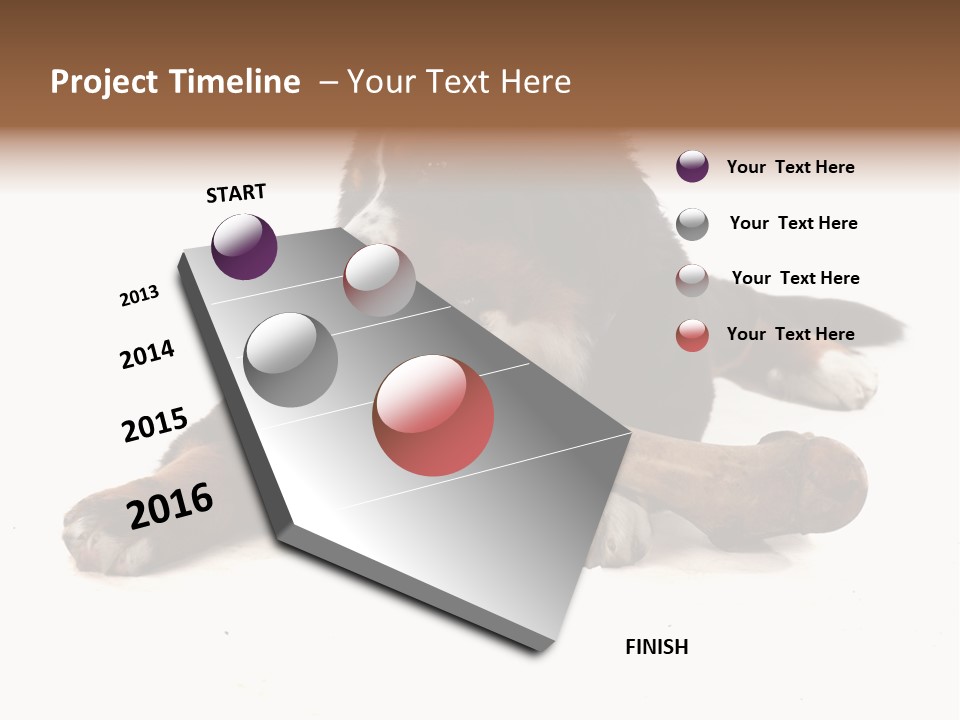 Space Purebred Mammal PowerPoint Template