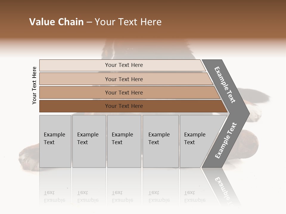 Space Purebred Mammal PowerPoint Template