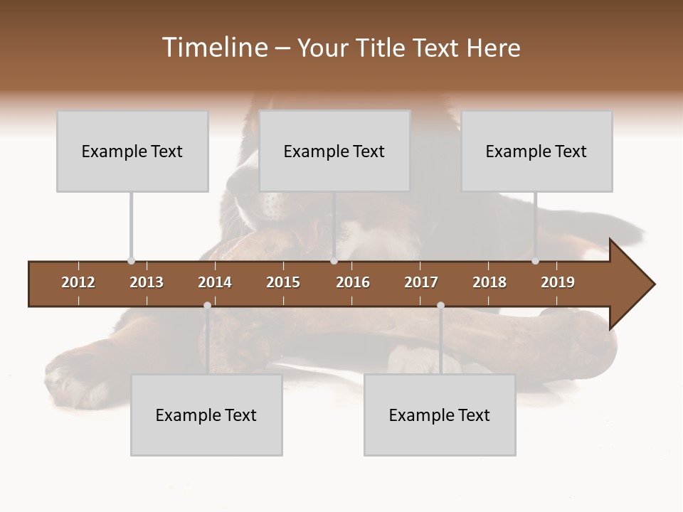 Space Purebred Mammal PowerPoint Template