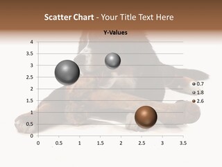 Space Purebred Mammal PowerPoint Template