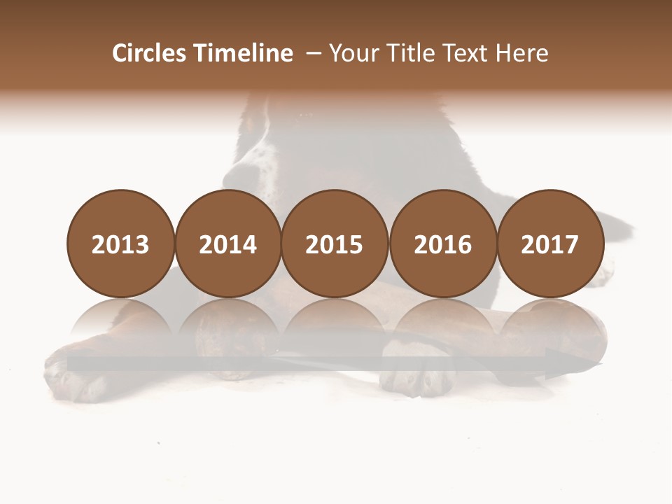 Space Purebred Mammal PowerPoint Template