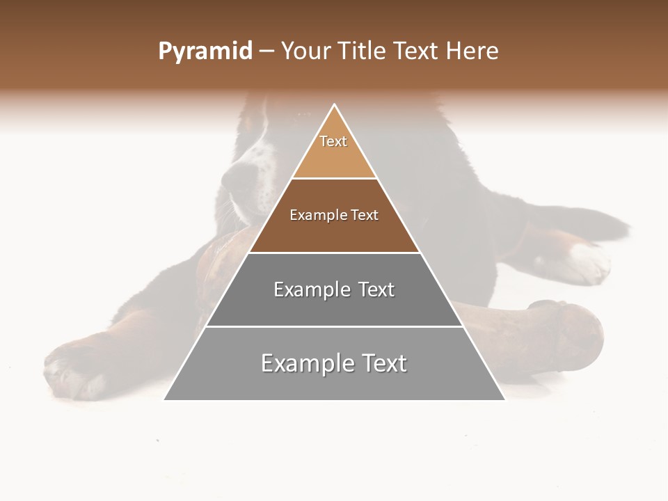 Space Purebred Mammal PowerPoint Template