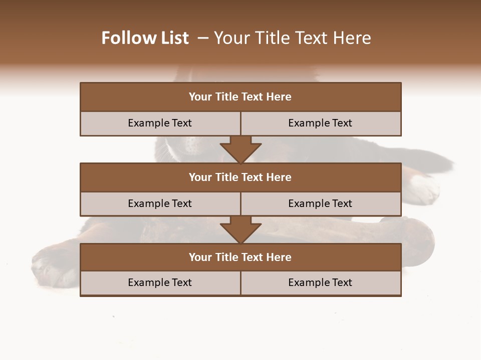Space Purebred Mammal PowerPoint Template