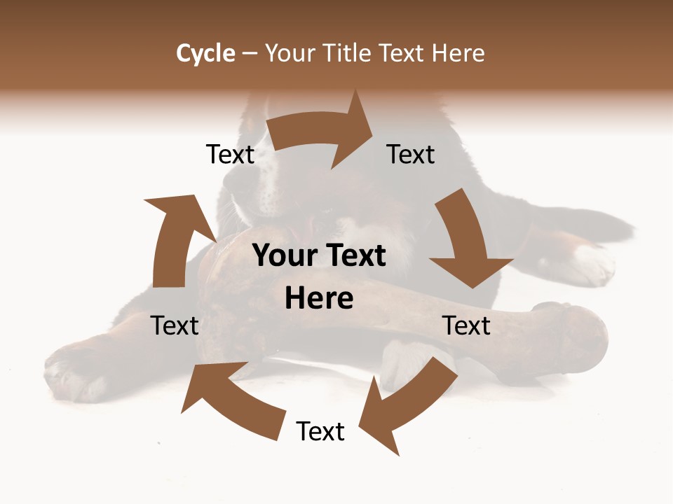 Space Purebred Mammal PowerPoint Template