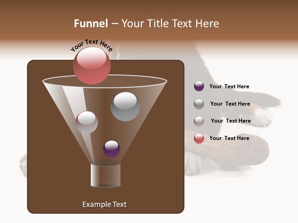Space Purebred Mammal PowerPoint Template