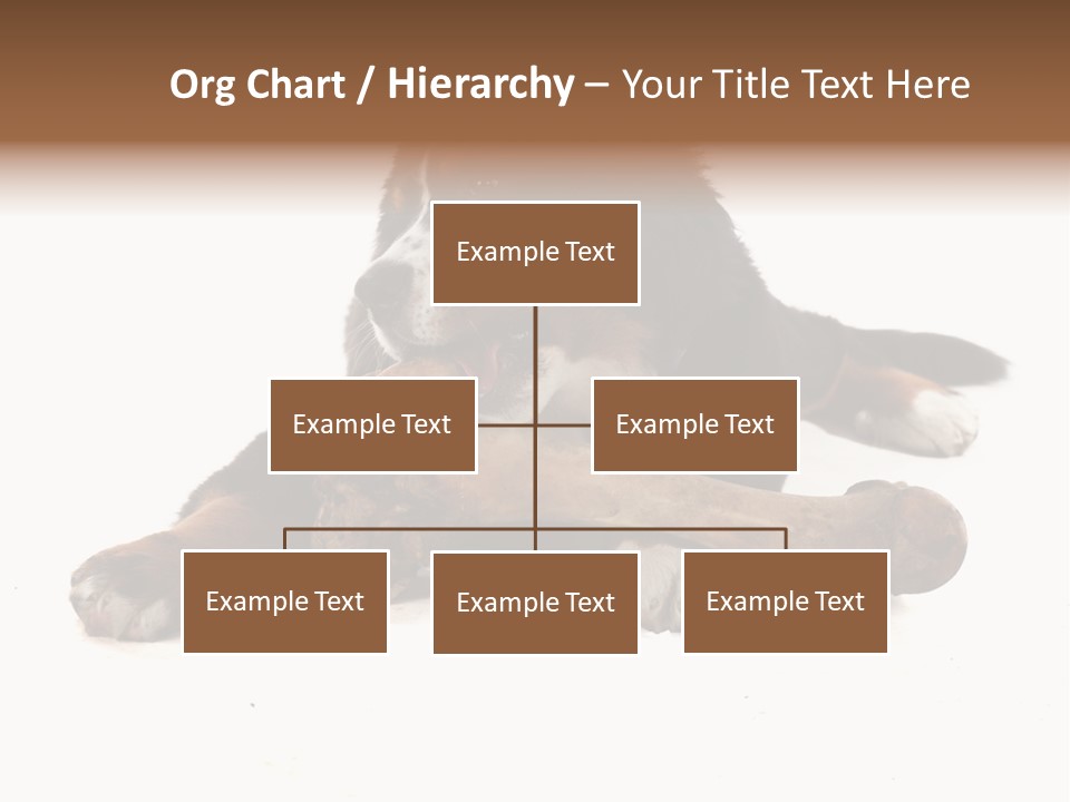 Space Purebred Mammal PowerPoint Template