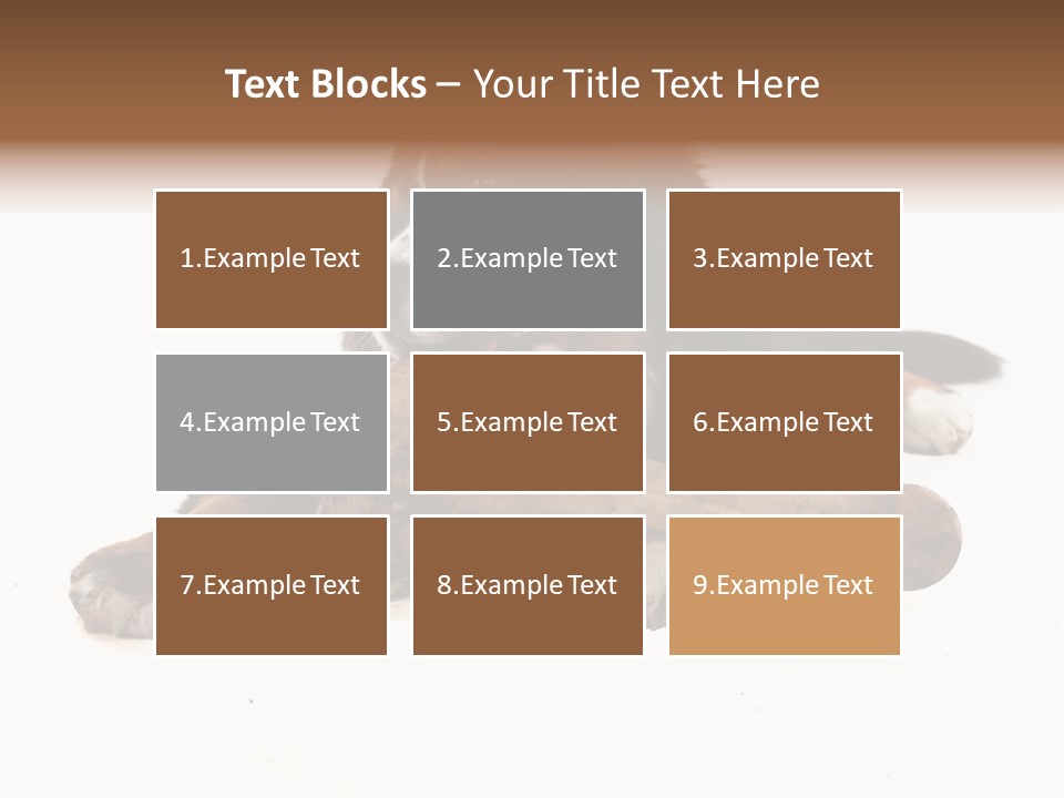 Space Purebred Mammal PowerPoint Template