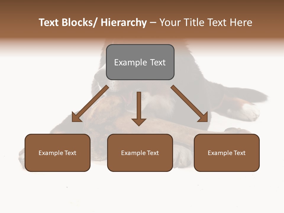 Space Purebred Mammal PowerPoint Template