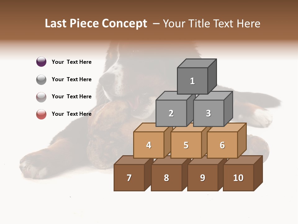 Space Purebred Mammal PowerPoint Template