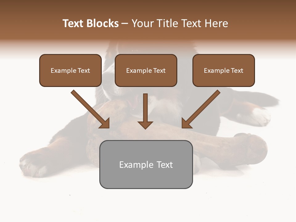 Space Purebred Mammal PowerPoint Template