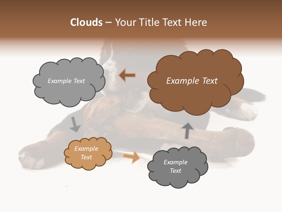 Space Purebred Mammal PowerPoint Template