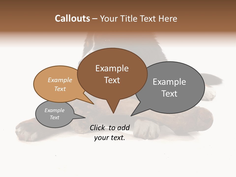 Space Purebred Mammal PowerPoint Template