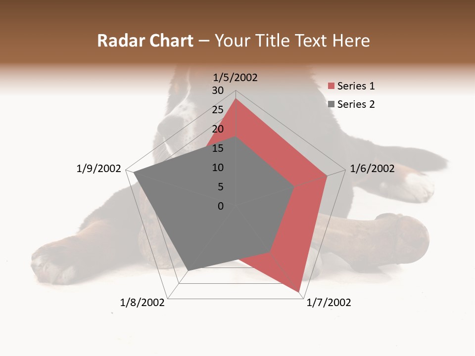 Space Purebred Mammal PowerPoint Template