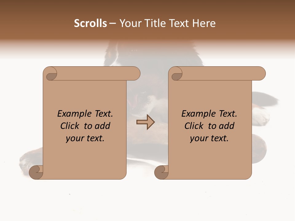 Space Purebred Mammal PowerPoint Template
