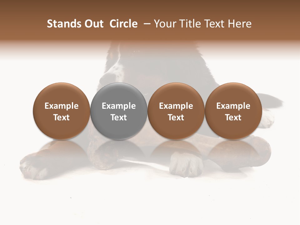 Space Purebred Mammal PowerPoint Template